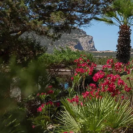 Vila Salida - Vista Mare, Piscina E Attrezzata Alghero